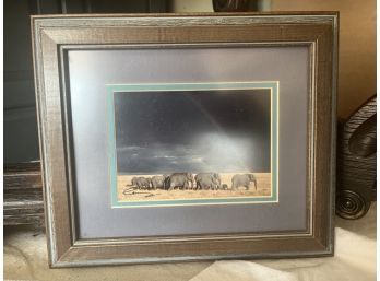 Signed Elephant Photo Framed (12 1/2 X 10 1/2)