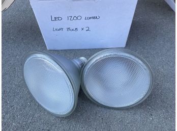 LED 1200 Lumen Light Bulbs (2)