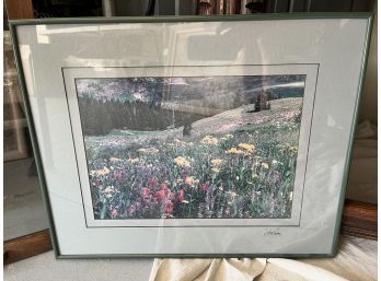 Beautiful Rocky Mountain Wildflowers Photograph By William Ervin, Signed And Framed (20 1/4 X 16 1/2)