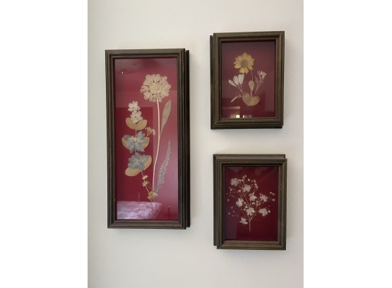 Beautiful Vintage Pressed Flowers Wall Art Framed, 7 1/2 In X 16 In And 6 1/2 In X 9 In