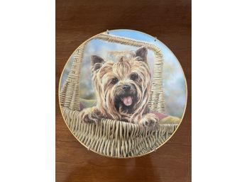 Numbered Limited Edition Yorkshire Terries Collectable Plate By Paul Doyle, #A 4679