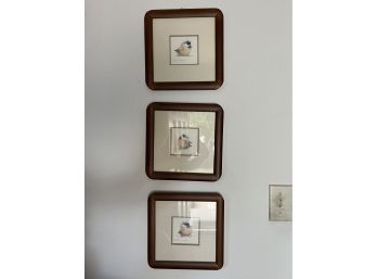 Trio Of Cute Framed Bird Prints (9 3/4 X 9 3/4)