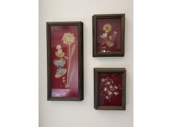 Beautiful Vintage Pressed Flowers Wall Art Framed, 7 1/2 In X 16 In And 6 1/2 In X 9 In