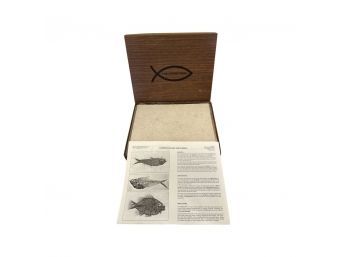 The Stone Fish- Fish Fossil Embedded In Stone For You To Uncover! BRAND NEW! Super Unique!