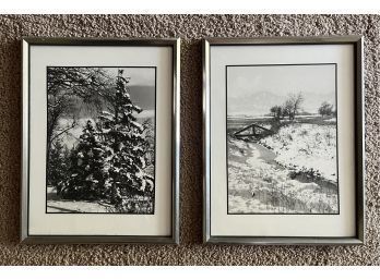 Wintertime Nature Photographs, Matted And Framed (11 X 14 1/2)