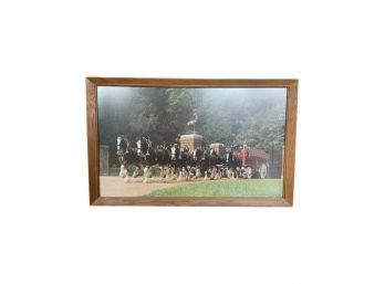 Lovely Framed Print Of Clydesdale Horses Pulling A Red Cart.