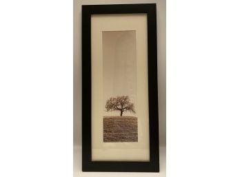 Photograph, Lonesome Tree In Field, 10 X 22 Inches