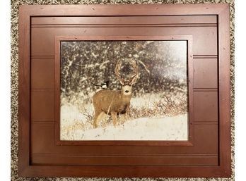 Beautiful Snowy Photograph Of Deer And Bird, Signed By Arist, No. 181/200