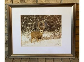 Andy Marquez Photograph No. 164/200 Signed By Artist. Deer In Snow