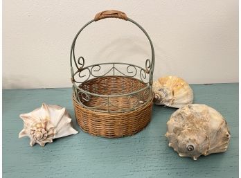 Basket Of Three Decorative Conk Shells