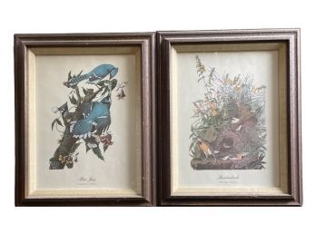 (3) Bird Lithographs, Prints, Blue Jay, Cardinal, And Meadowlark In Frames