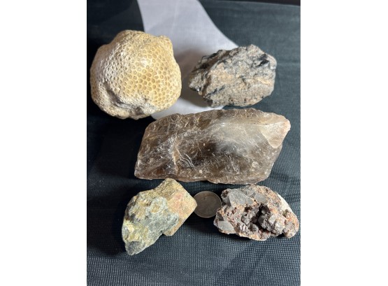 Fossilized Coral, Quartz, Garnet From The Sedalia Mine (near Salida), Sphalerite From Tristate