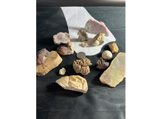 Miscellaneous Rocks, Calcite, Opalized Wood, Lapidary And Minerals