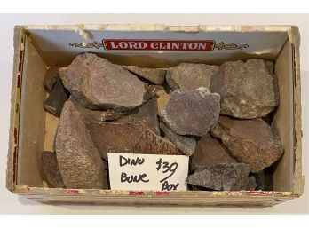 Cigar Box Of Rocks Labeled Dino Bone