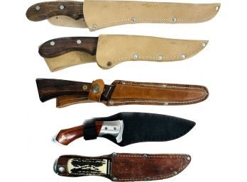 Collection Of Blades In Sheaths