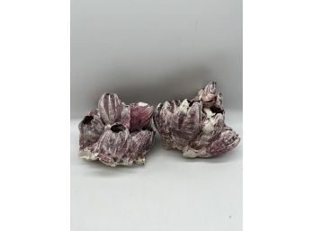 2 Piece Purple And White Acorn Barnacle Coral Cluster