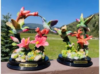 Vibrant Humming Bird Statues By Montefiori Collection