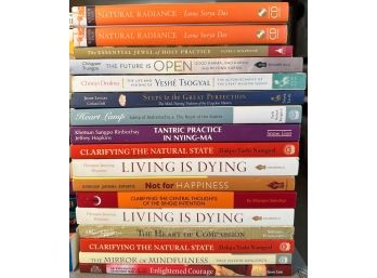 Natural Radiance, Living Is Dying, The Tibetan Book Of The Dead And More Titles