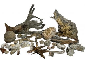 Driftwood And Rock Collection