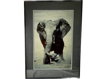 Signed Elephant Photograph Hunter Galleries