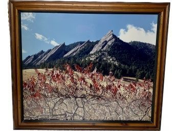 Mountain And Branches Photo Art By Horst