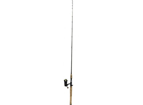 Pflueger Presidential Limited Edition (Eagle Claw) Rod Fishing Pole (6Ft 8in)