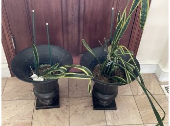 Lot Of Two Metal Pots With Ferns In Them