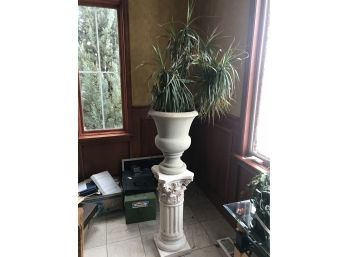 House Plant With Stand