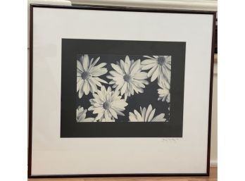 Beautiful Black And White Photograph Of Daisies By B.L Ruley, 1998.