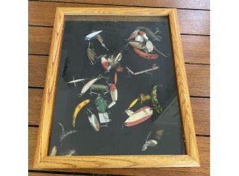 Very Cool Shadow Box With Collection Of Fishing Lures Inside