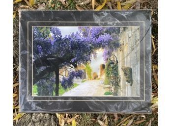 Photograph In Matte Frame Of Lovely Courtyard