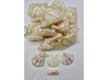 Lot Of Seashells. See 3 Samples In Photo. Pretty White And Pink.