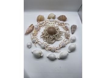 Shells On A String Surrounded By Gorgeous Shell Collection