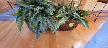 141-  FAUX FERNS