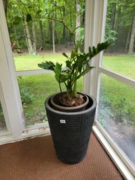 162 - LARGE PLANTER