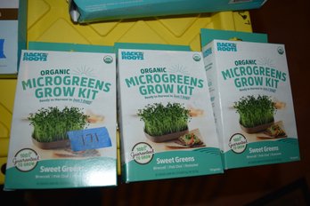 171  3 NEW BOXES GROW SEEDS KIT