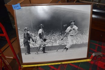 224 The Great Yaz!!!  Framed Picture