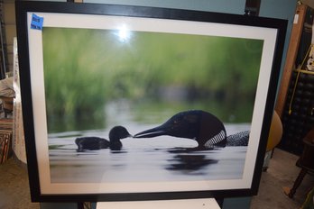 205 Large Nature Duck Framed Art