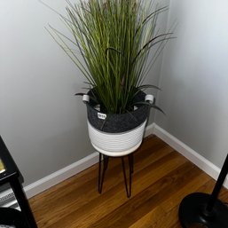 111 -  PLANT WITH STAND