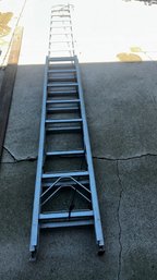 263 - EXTENSION LADDER