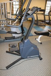 309 ~ CYBEX 800 PRO GRADE STAIR STEPPER