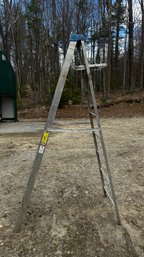 036 -  8  FOOT STEP LADDER