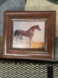 Horse 1 Framed Print