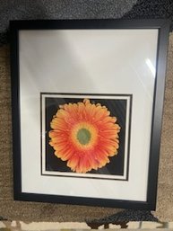 Framed Flower