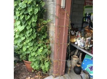 Garden Trellis Decorated With An Orange Glitter Berry Vine