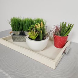 Cream Tray With Lot 0f 3 Faux Plants