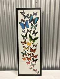 Butterfly Print -