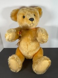 Steiff Bear - 0165/60 - 24'