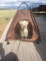 Small Sized Pet Tent Waterproof, Folds Into Handy Carrying Case.