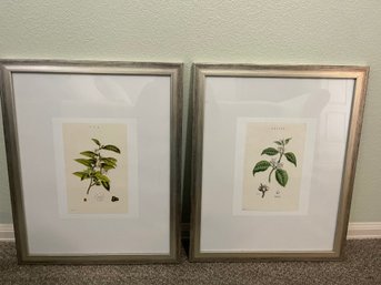 Coffee And Tea Framed Prints